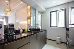 Normanton Park (D5), Apartment #503992091